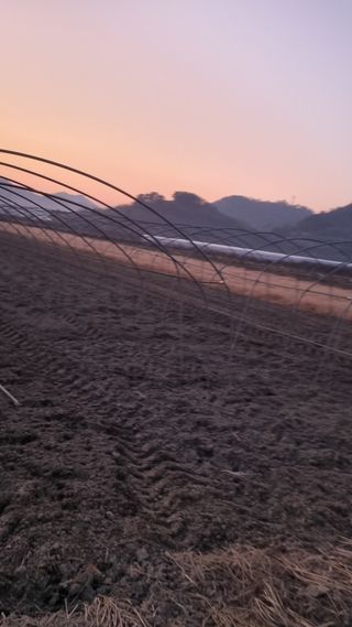 믿고사는농원-송미경님의 기타작물 · 영농일지 작성글 사진