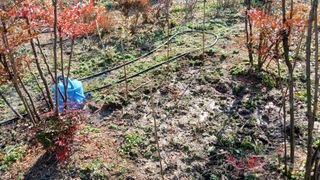 이상철님의 기타작물 · 영농일지 작성글 사진