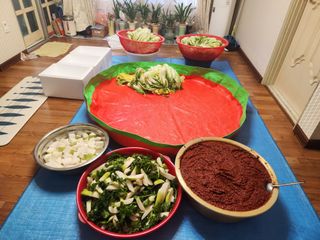 꿀복이농장님의 배추 · 영농일지 작성글 사진