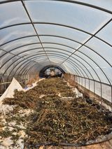 팜모닝 콩·영농일지 게시글 이미지