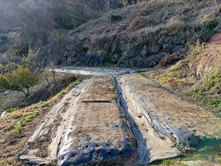 한골머스마님의 기타작물 · 영농일지 작성글 사진