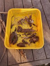 팜모닝 기타작물·영농일지 게시글 이미지