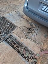 팜모닝 기타작물·영농일지 게시글 이미지