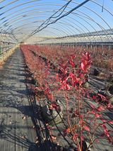 축복농장님의 작성글 사진