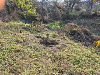 이준영님의 기타작물 · 영농일지 작성글 사진