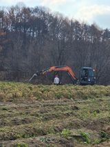팜모닝 기타작물·영농일지 게시글 이미지