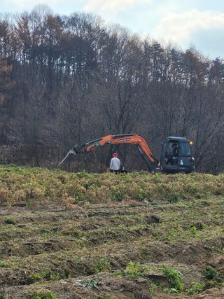이름유순옥님의 기타작물 · 영농일지 작성글 사진
