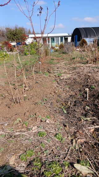 이상철님의 기타작물 · 영농일지 작성글 사진