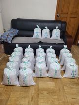 팜모닝 콩·영농일지 게시글 이미지