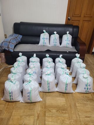 고추님의 콩 · 영농일지 작성글 사진