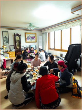 인생은 소풍처럼님의 배추 · 영농일지 작성글 사진