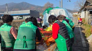 가야산아래촌농님의 기타작물 · 영농일지 작성글 사진