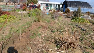 이상철님의 기타작물 · 영농일지 작성글 사진