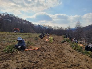 이름유순옥님의 기타작물 · 영농일지 작성글 사진