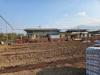 이만근님의 블루베리 · 영농일지 작성글 사진