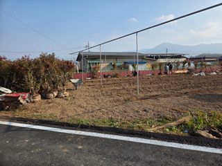 이만근님의 블루베리 · 영농일지 작성글 사진