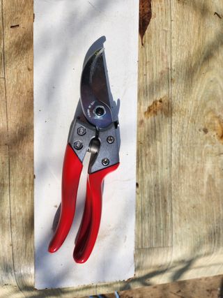 꿀복이농장님의 복숭아 · 영농일지 작성글 사진