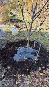 팜모닝 감·영농일지 게시글 이미지