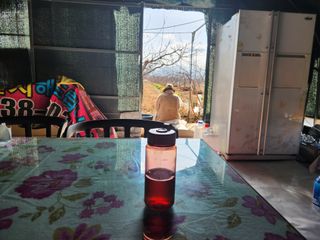 꿀복이농장님의 복숭아 · 영농일지 작성글 사진