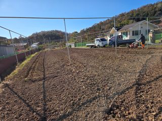 이만근님의 블루베리 · 영농일지 작성글 사진