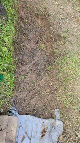 팜모닝 기타작물·영농일지 게시글 이미지