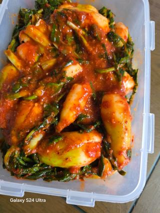 소병찬님의 배추 · 영농일지 작성글 사진