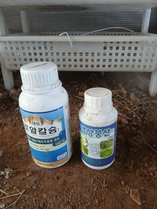 김명자님의 기타작물 · 영농일지 작성글 사진