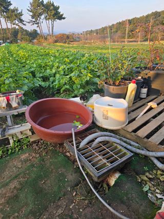 열심이님의 기타작물 · 영농일지 작성글 사진