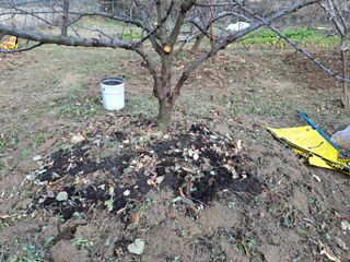 철남 김희곤님의 기타작물 · 영농일지 작성글 사진