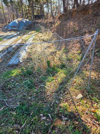 행운아님의 콩 · 영농일지 작성글 사진