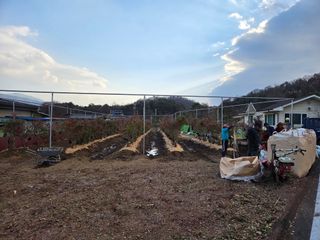 이만근님의 블루베리 · 영농일지 작성글 사진