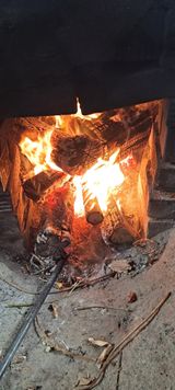 팜모닝 기타작물·영농일지 게시글 이미지