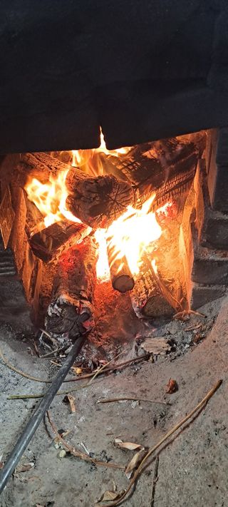 김성호님의 기타작물 · 영농일지 작성글 사진