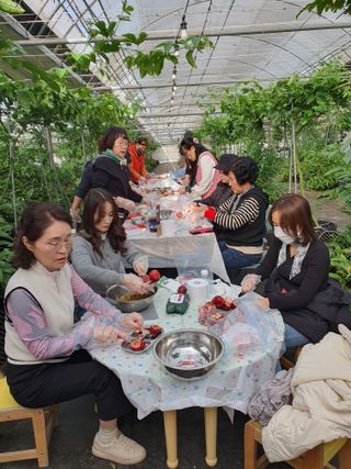 고흥백향과농장님의 기타작물 · 영농일지 작성글 사진