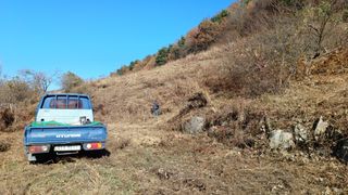 이순기님의 두릅 · 영농일지 작성글 사진