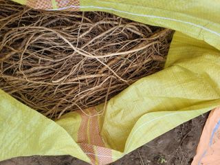 이름유순옥님의 기타작물 · 영농일지 작성글 사진