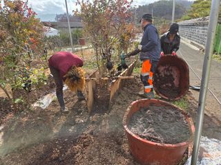 이만근님의 블루베리 · 영농일지 작성글 사진