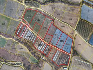 병풍취산채농원님의 고추 · 영농일지 작성글 사진