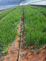 결단이님의 작성글 사진