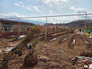 이만근님의 작성글 사진