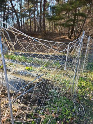 행운아님의 콩 · 영농일지 작성글 사진