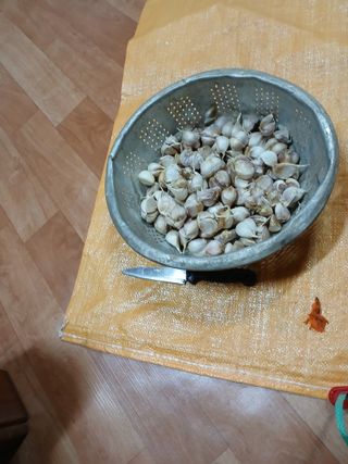 최유순님의 기타작물 · 영농일지 작성글 사진