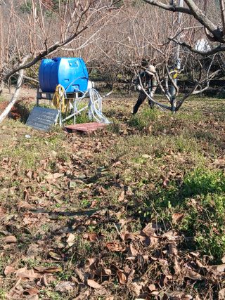 향양농장 사랑합니다님의 기타작물 · 영농일지 작성글 사진