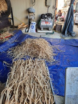 이름유순옥님의 기타작물 · 영농일지 작성글 사진