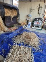 팜모닝 기타작물·영농일지 게시글 이미지