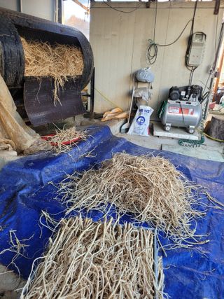 이름유순옥님의 기타작물 · 영농일지 작성글 사진