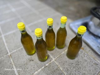 심기정님의 들깨 · 영농일지 작성글 사진