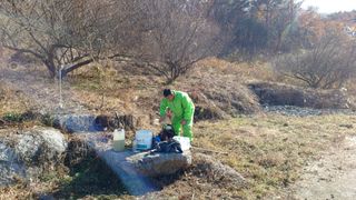 이순기님의 두릅 · 영농일지 작성글 사진