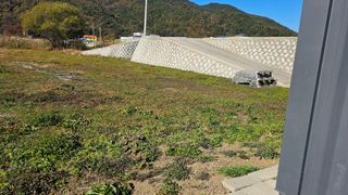 MJ님의 기타작물 · 영농일지 작성글 사진