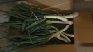 윤정님의 작성글 사진